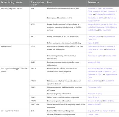 Transcriptional control of embryonic and adult neural progenitor activity